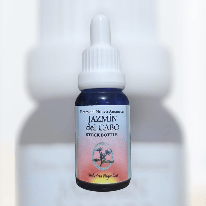 Jazmín del Cabo 1