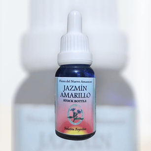 Jazmín Amarillo ( Jasmine )