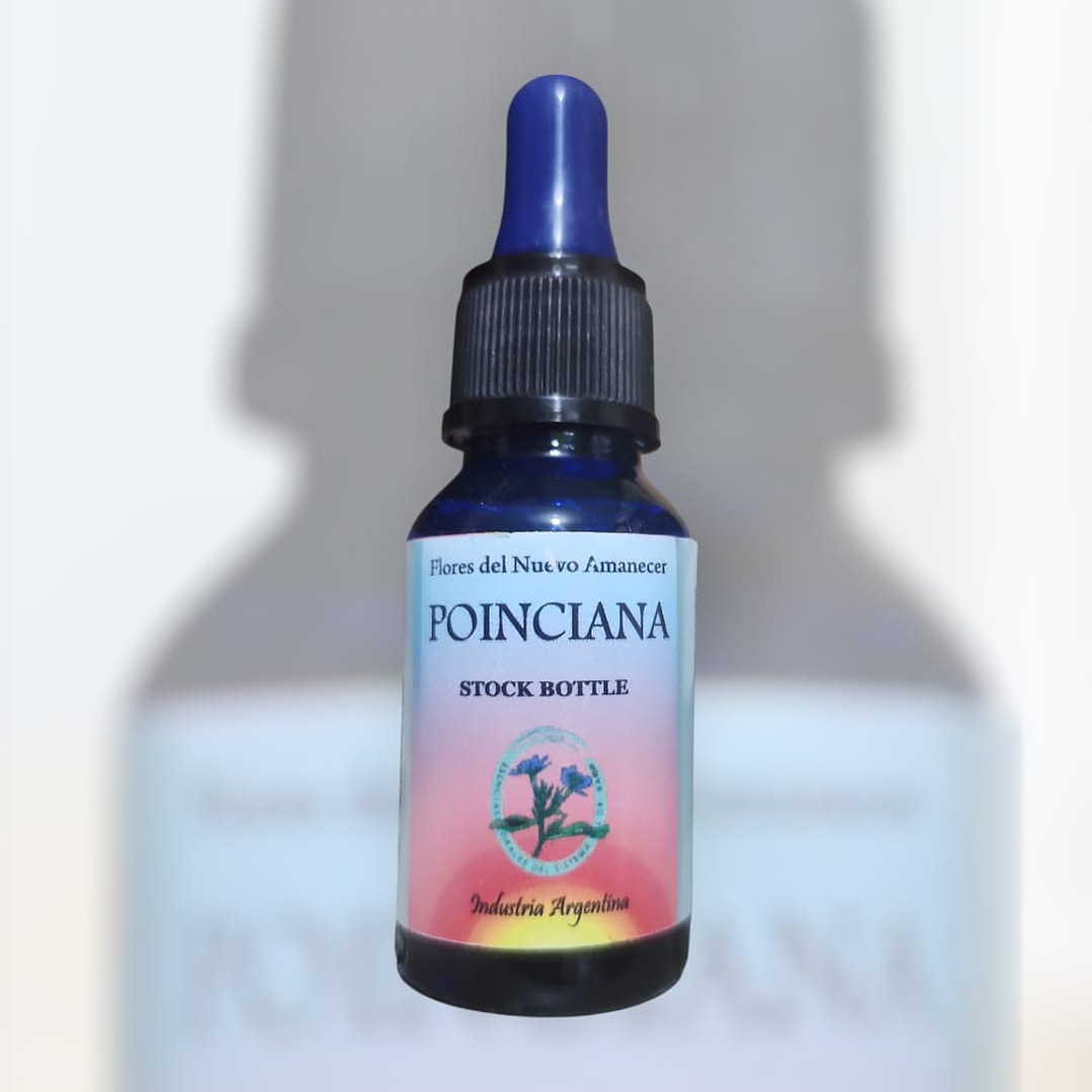 Poinciana 1
