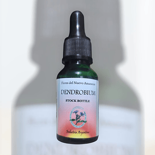 Dendrobium