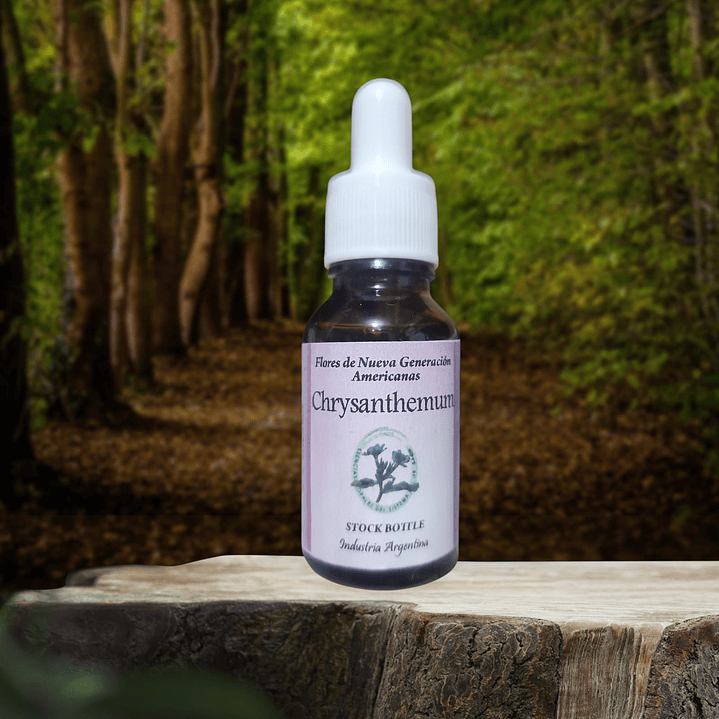 Chrysanthemum 15ml 1