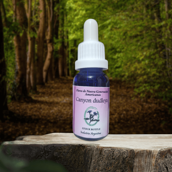 Canyon Dudleya 15ml 1