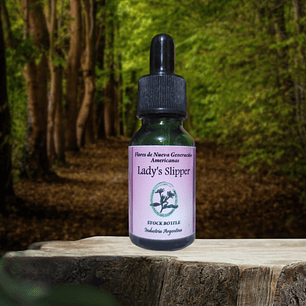 Lady’s Slipper 15ml