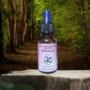 Milkweed 15ml