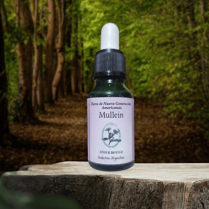 Mullein 15ml 1