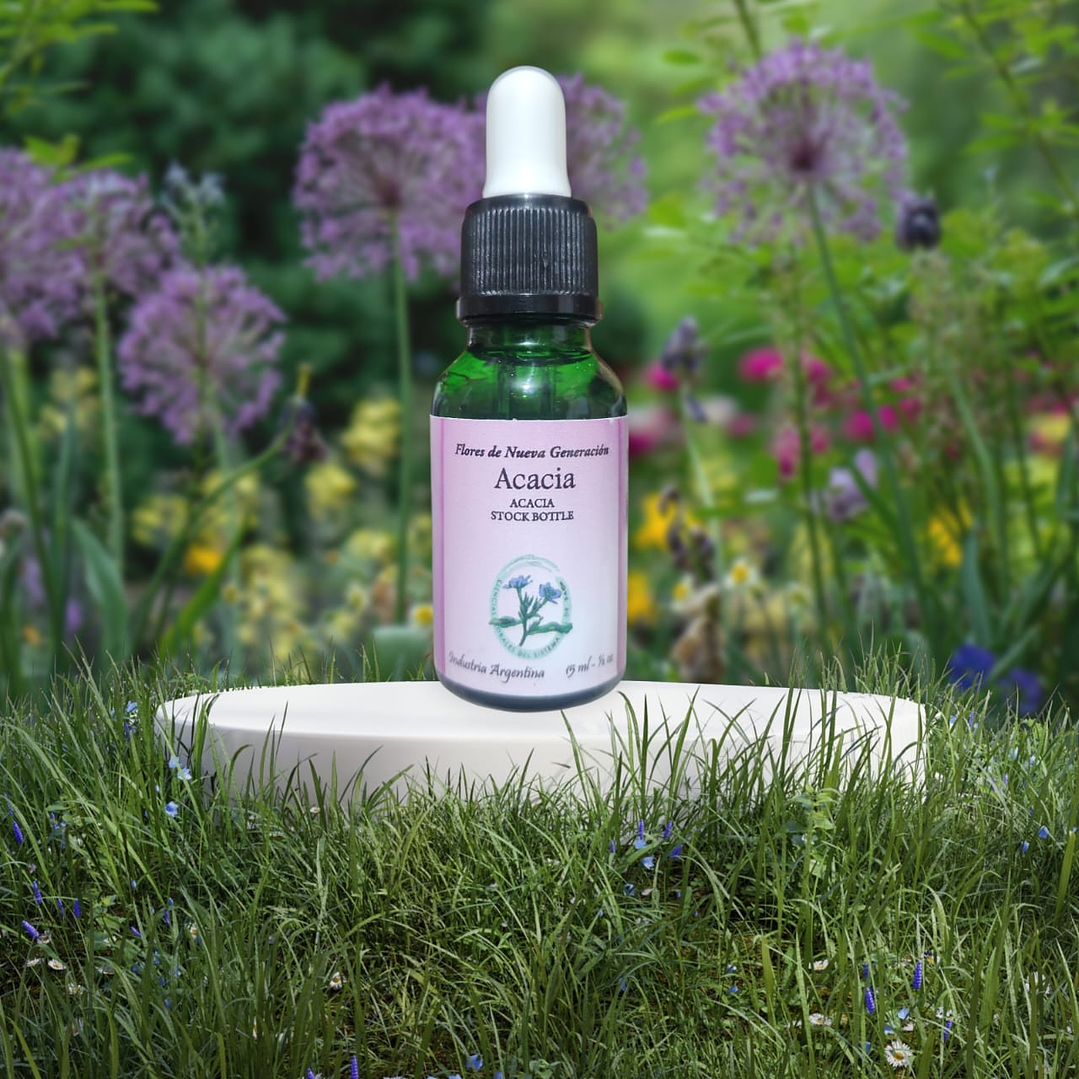 Acacia 15ml 1