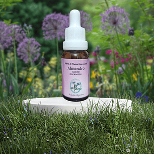 Almendro 15ml (Almond)