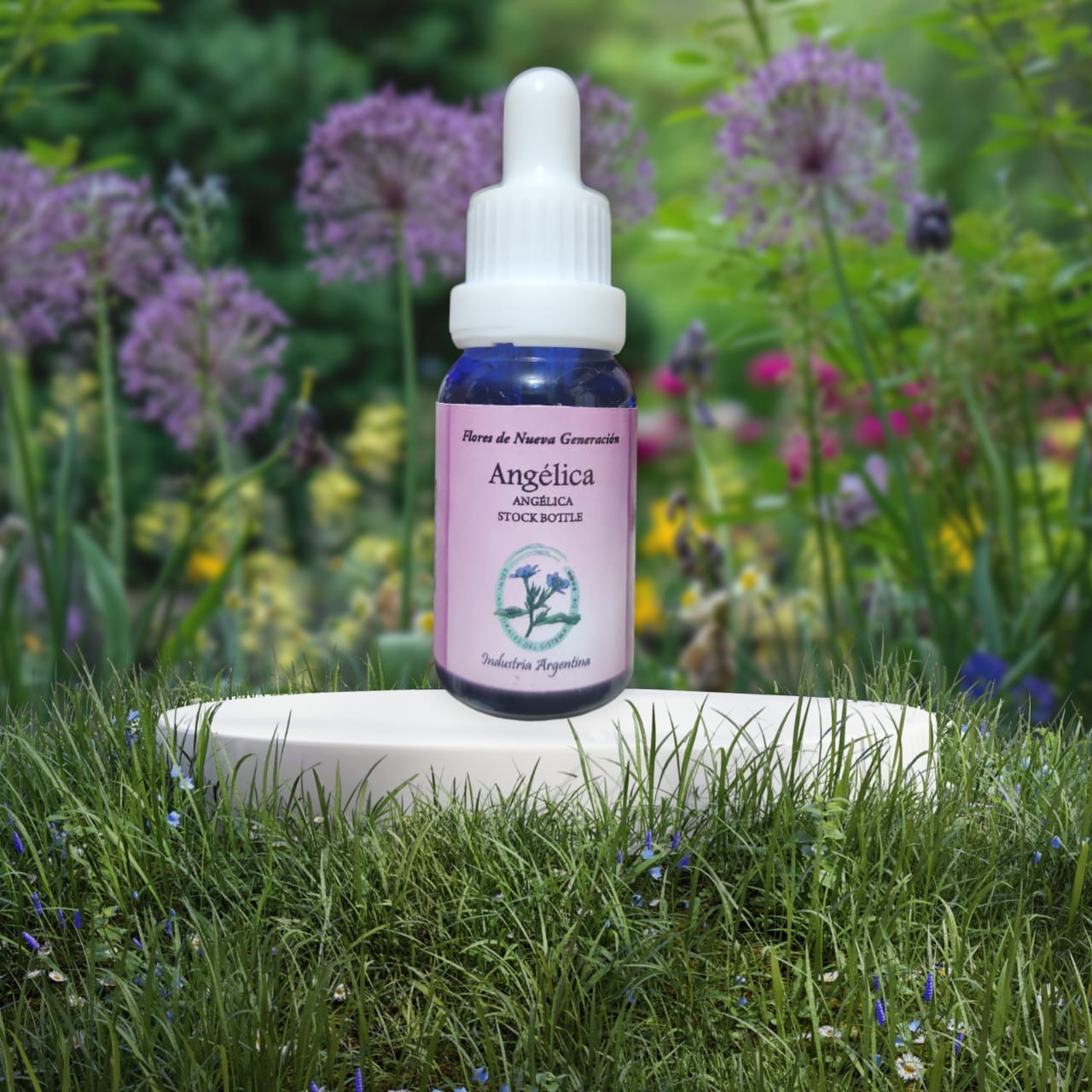 Ángelica 15ml