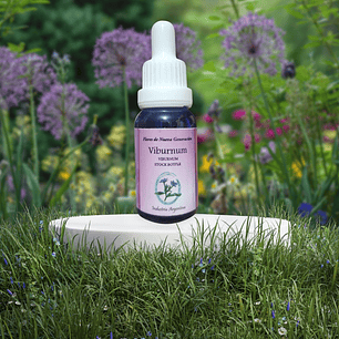 Viburnum 15ml