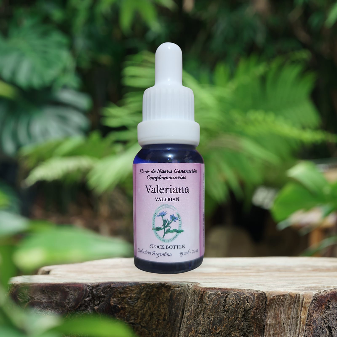 Valeriana 15ml 1