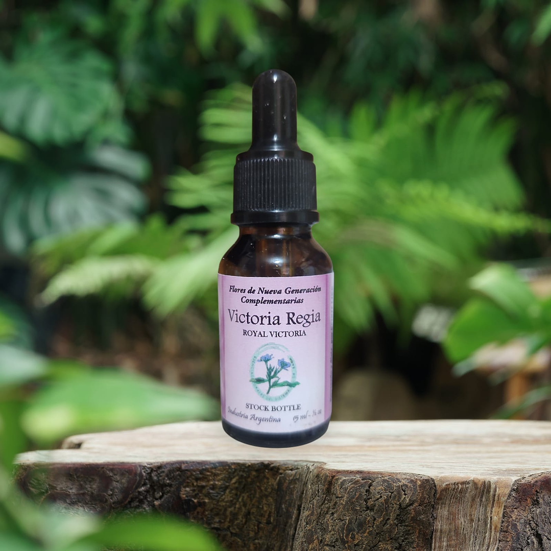 Victoria Regia 15ml 1