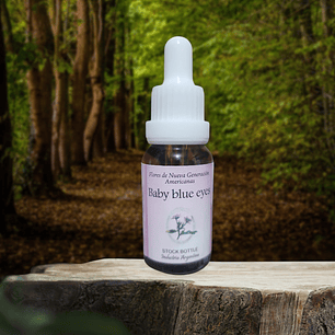 Baby blue eyes 15ml