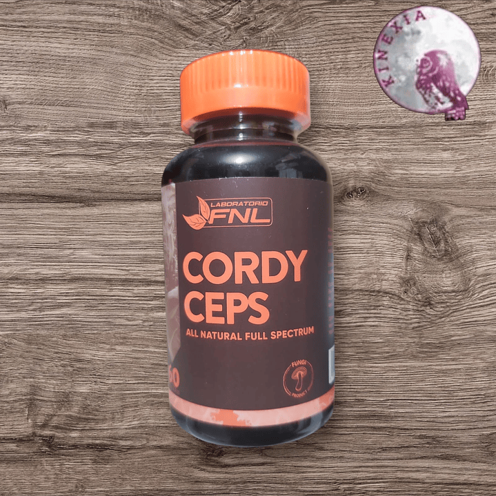 Cordyceps 1