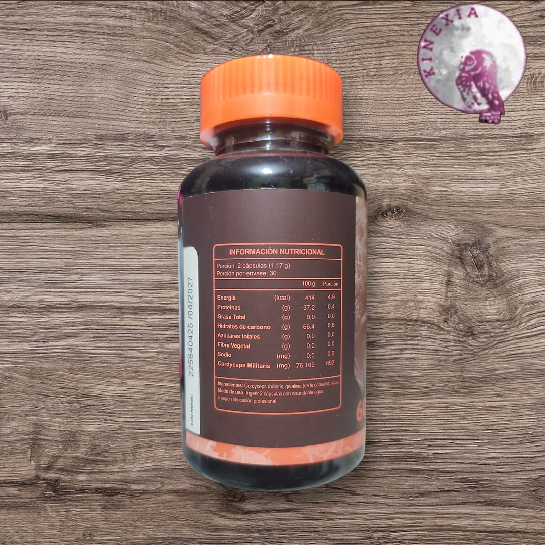 Cordyceps 2