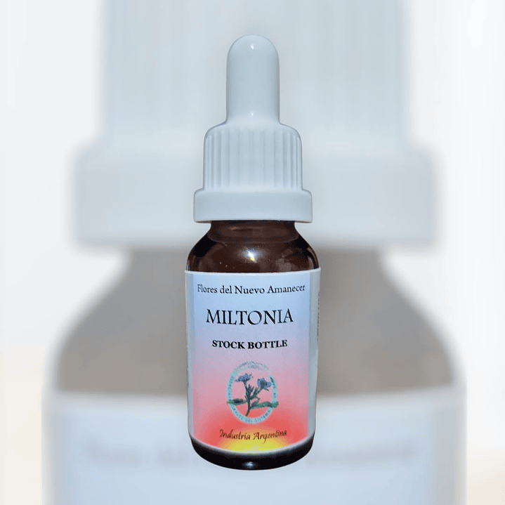 Miltonia 1