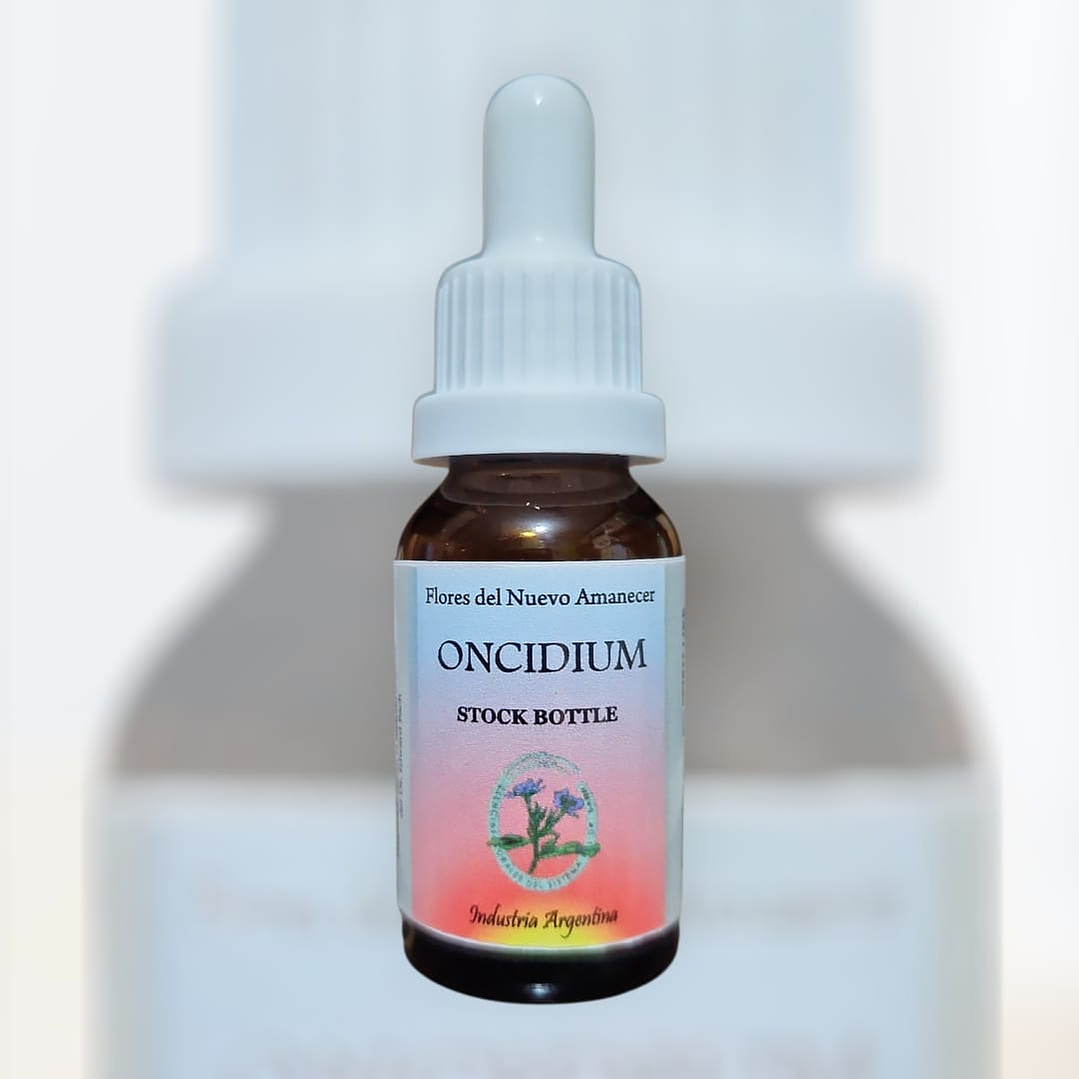 Oncidium 1