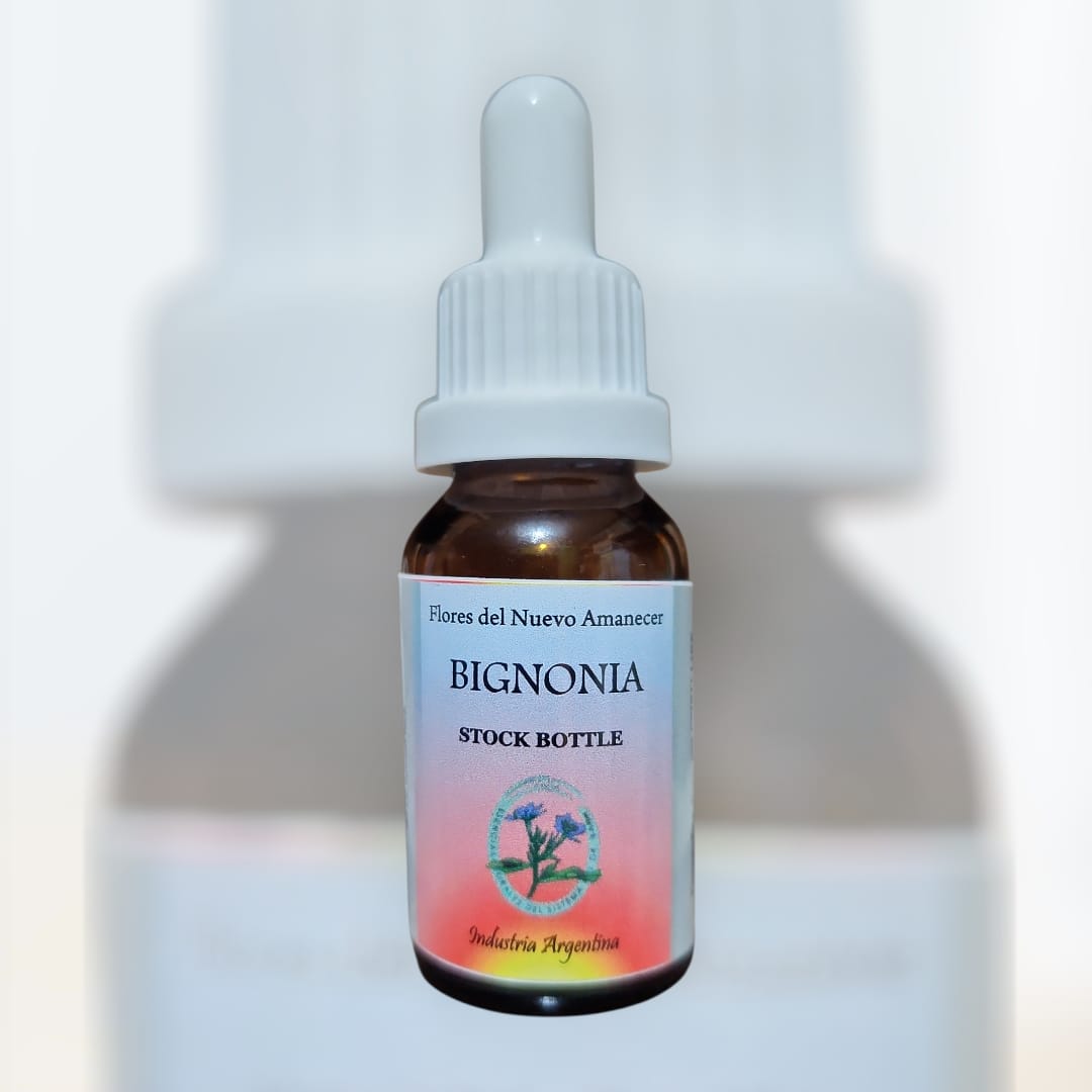 Bignonia