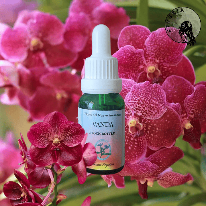 Vanda 2