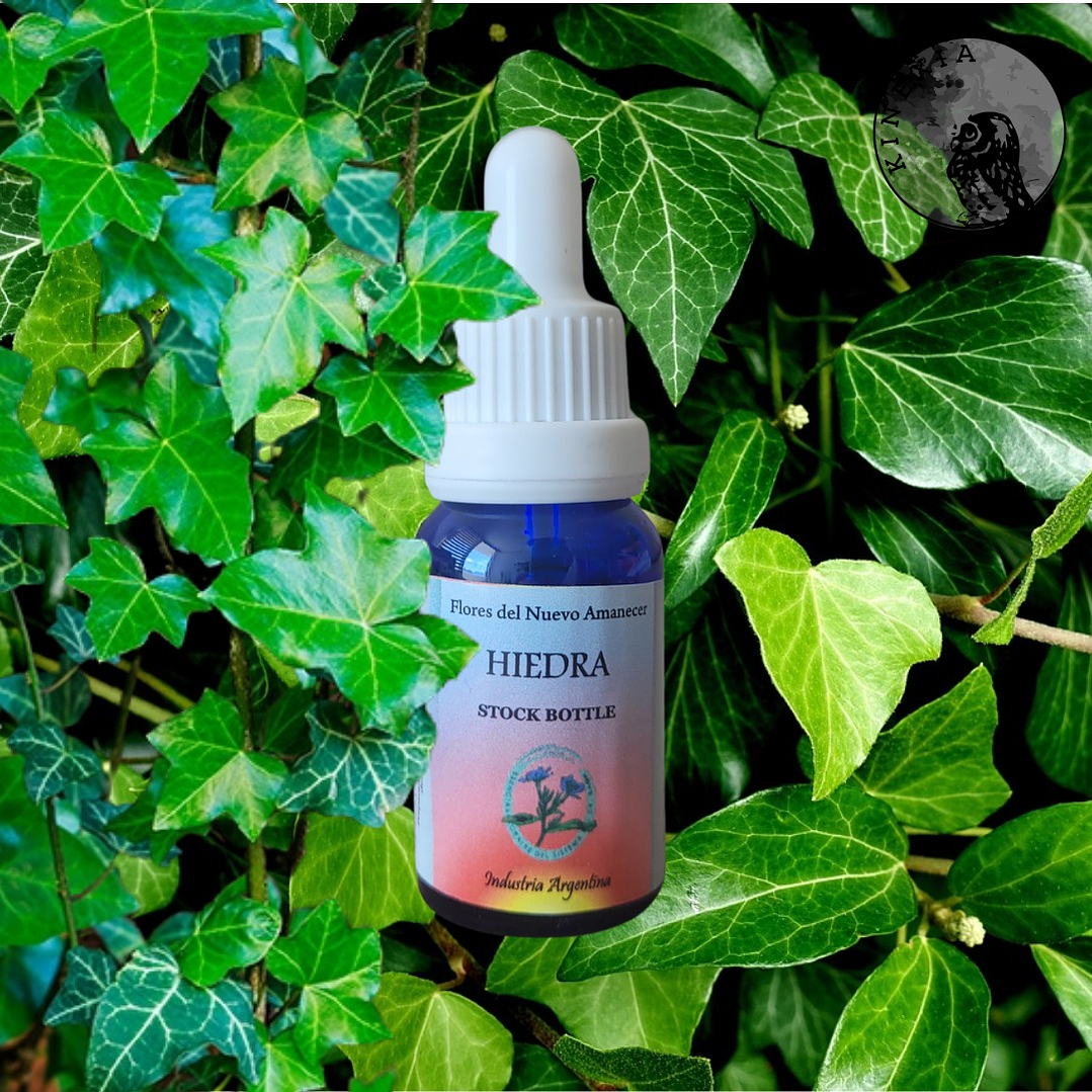 Hiedra 2