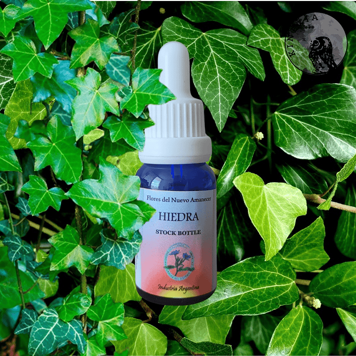 Hiedra 2