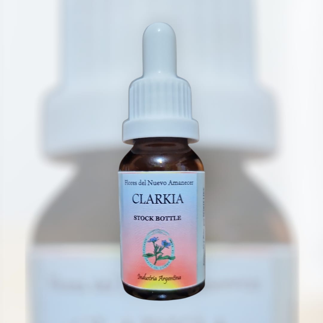 Clarkia