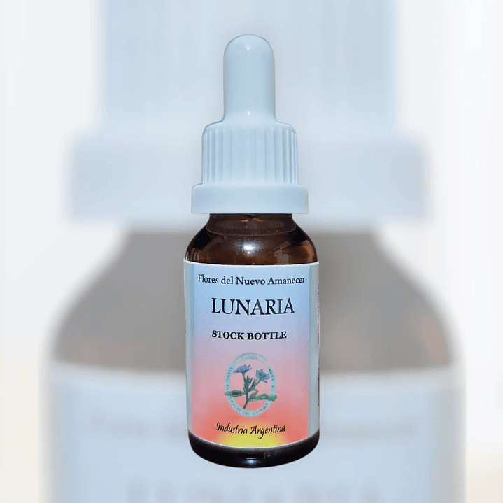 Lunaria 1