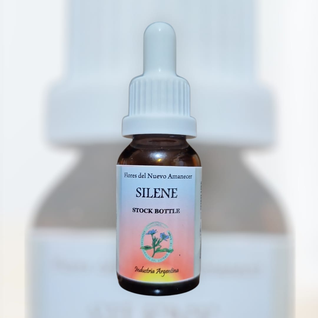 Silene