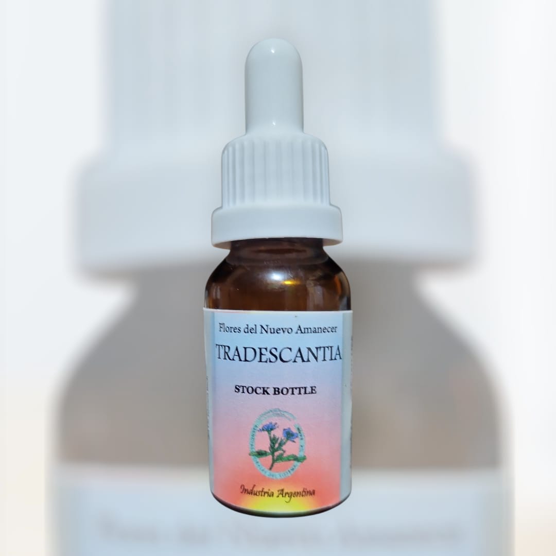Tradescantia
