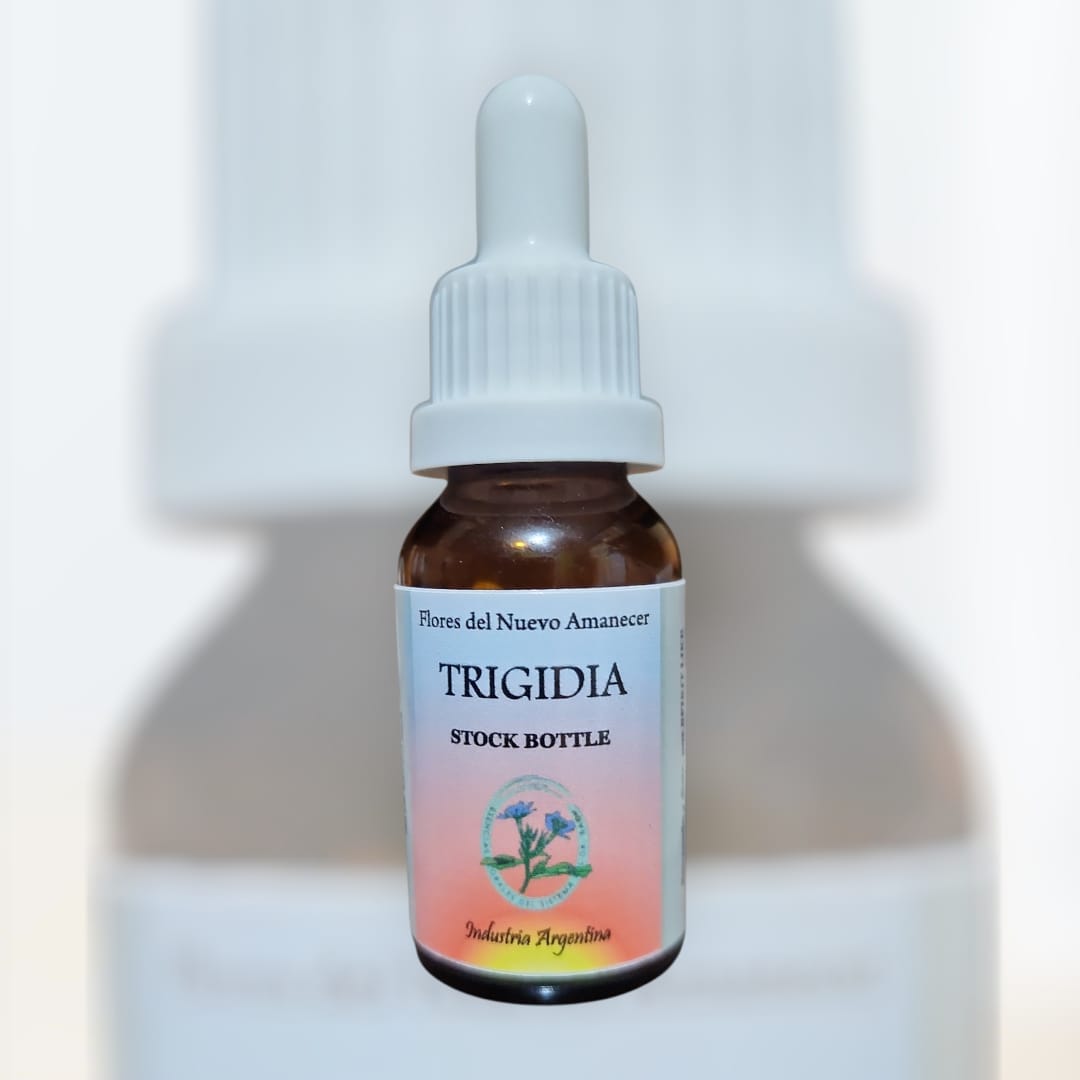 Trigidia