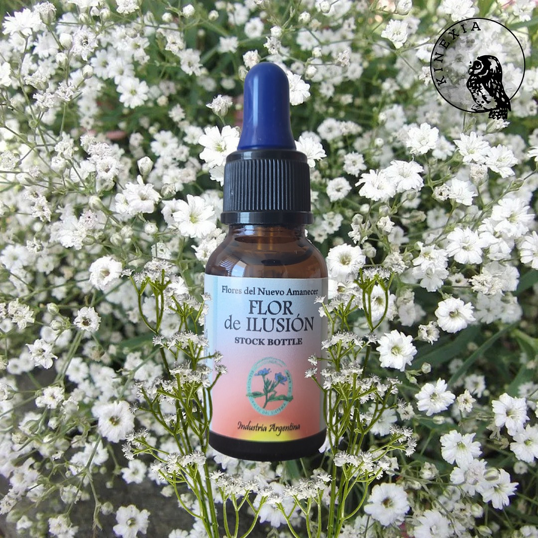 Flor de Ilusión 2