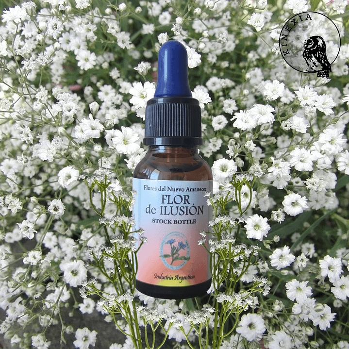 Flor de Ilusión 2