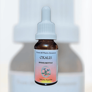 Oxalis