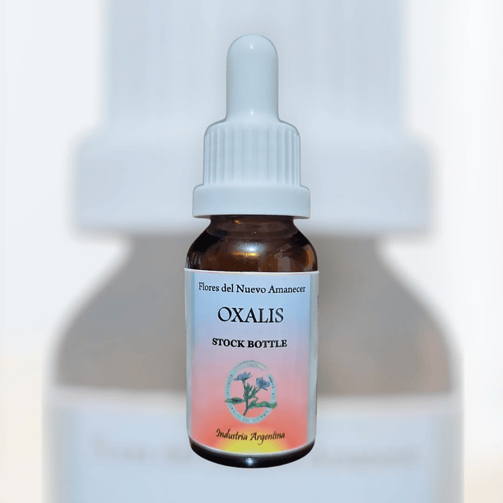 Oxalis 1