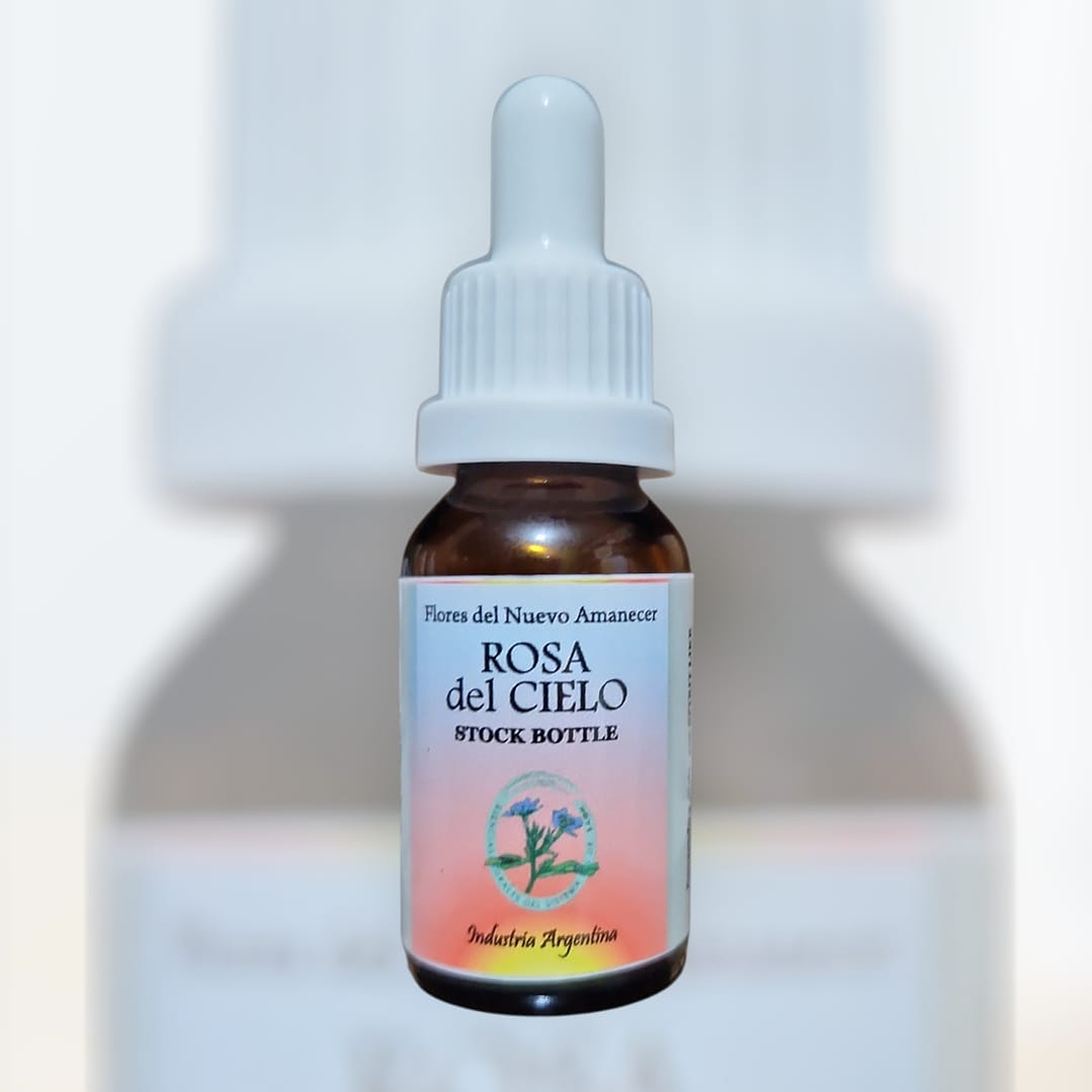 Rosa del Cielo 1