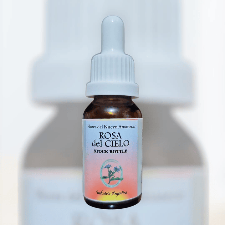 Rosa del Cielo 1