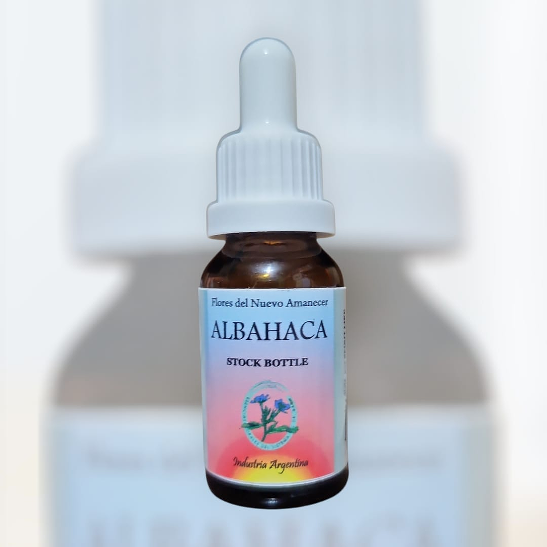 Albahaca 1
