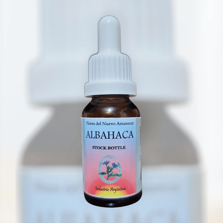 Albahaca 1