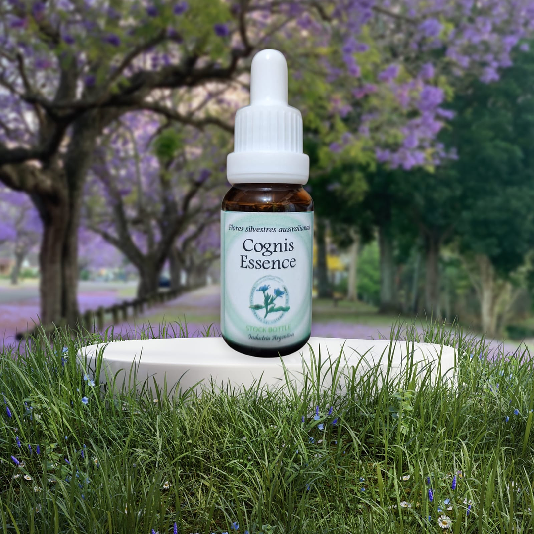 Cognis Essence 15ml (stock) 1