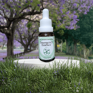 Emergency Essence 15ml  (Stock)