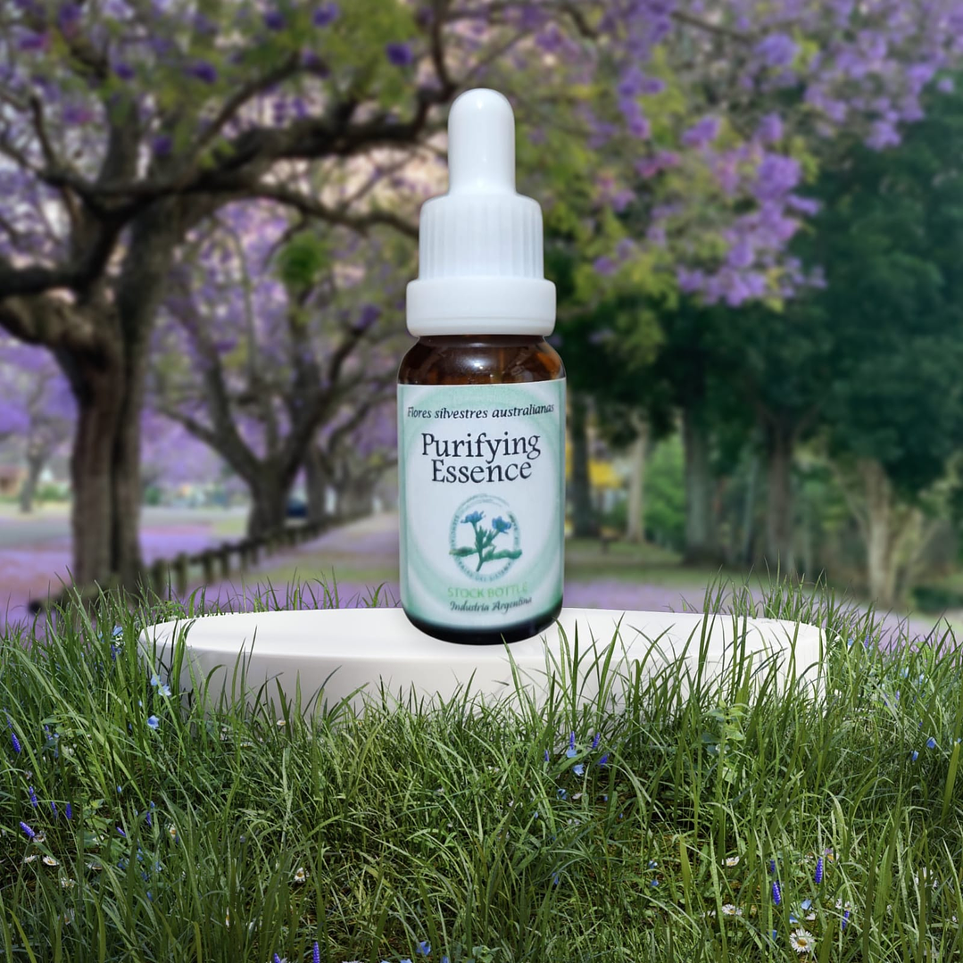 Purifying Essence 15ml (stock) 1