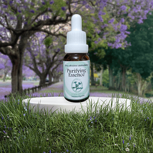 Purifying Essence 15ml (stock)