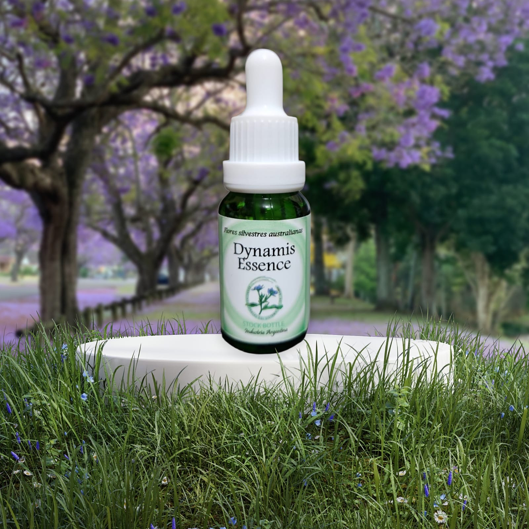 Dynamis Essence 15ml (stock) 1