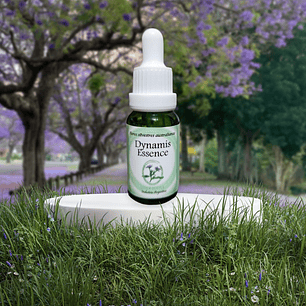 Dynamis Essence 15ml (stock)