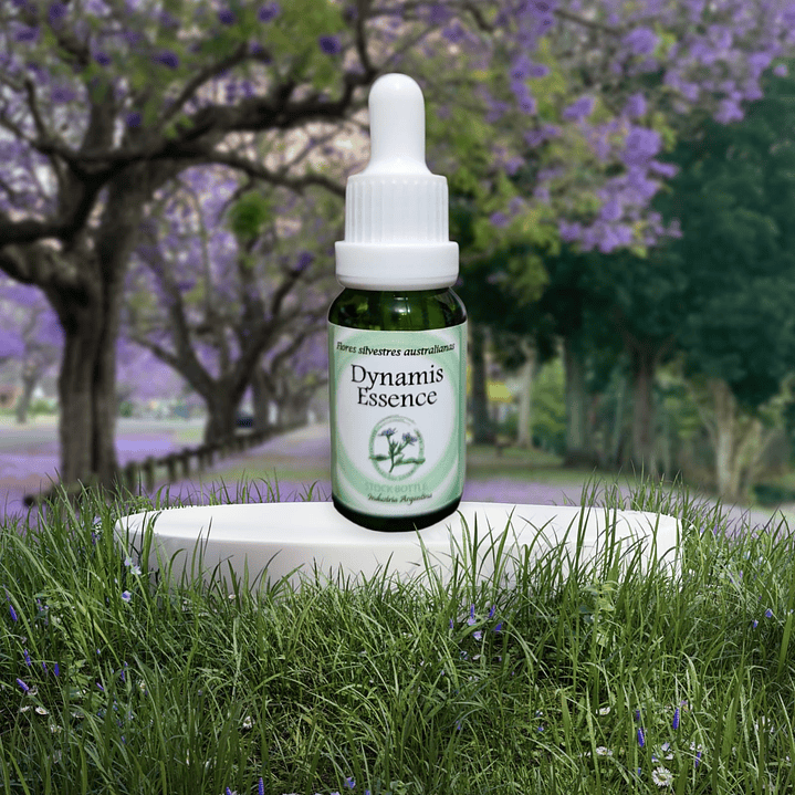 Dynamis Essence 15ml (stock) 1