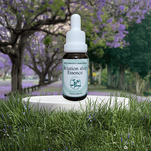 Relationship Essence 15ml (stock)