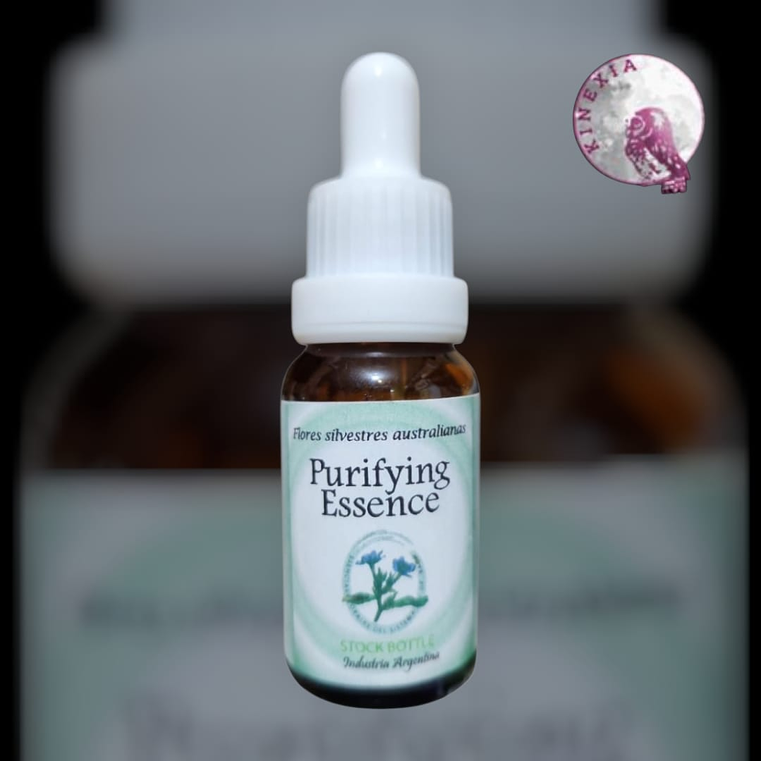 Purifying Essence 30ml ( Dilución para Pacientes) 1