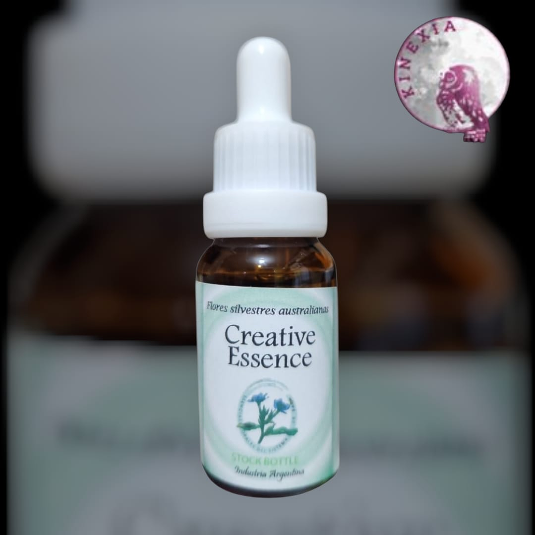 Creative Essence 30ml ( Dilución para Pacientes) 1