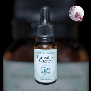 Transition Essence 30ml  ( Dilución para Pacientes)