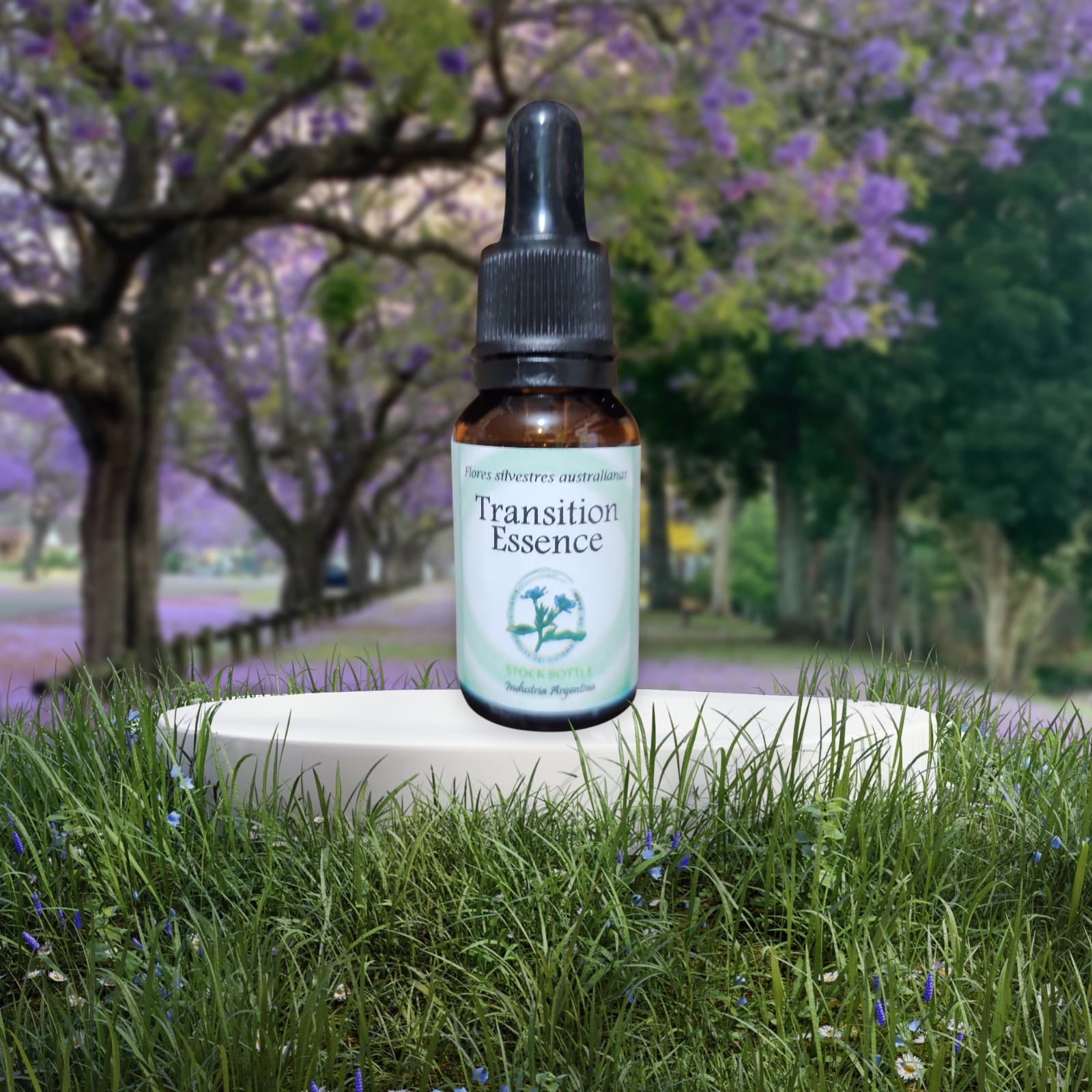 Transition Essence 15ml (stock)