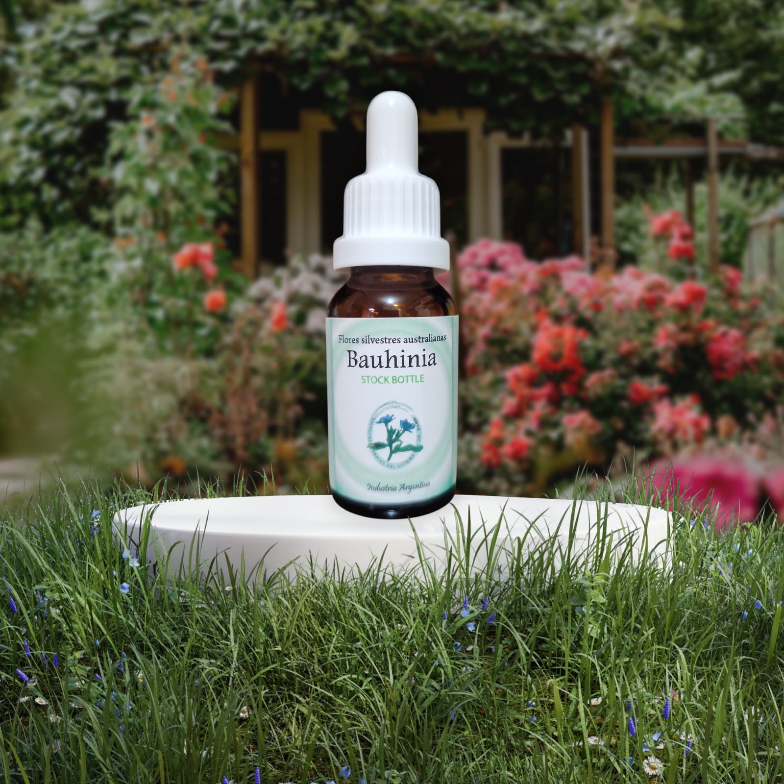 Bauhinia 15ml